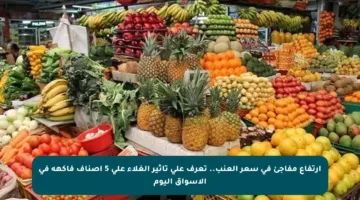 ارتفاع مفاجئ في سعر العنب.. تعرف على تأثير الغلاء على 5 أصناف فاكهة في الأسواق اليوم
